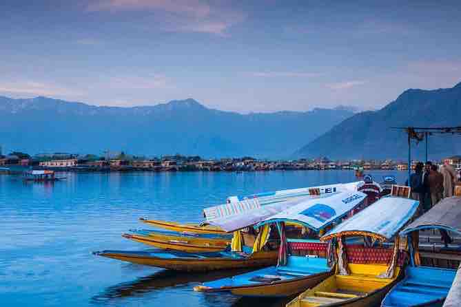 10 Things to Do in Srinagar