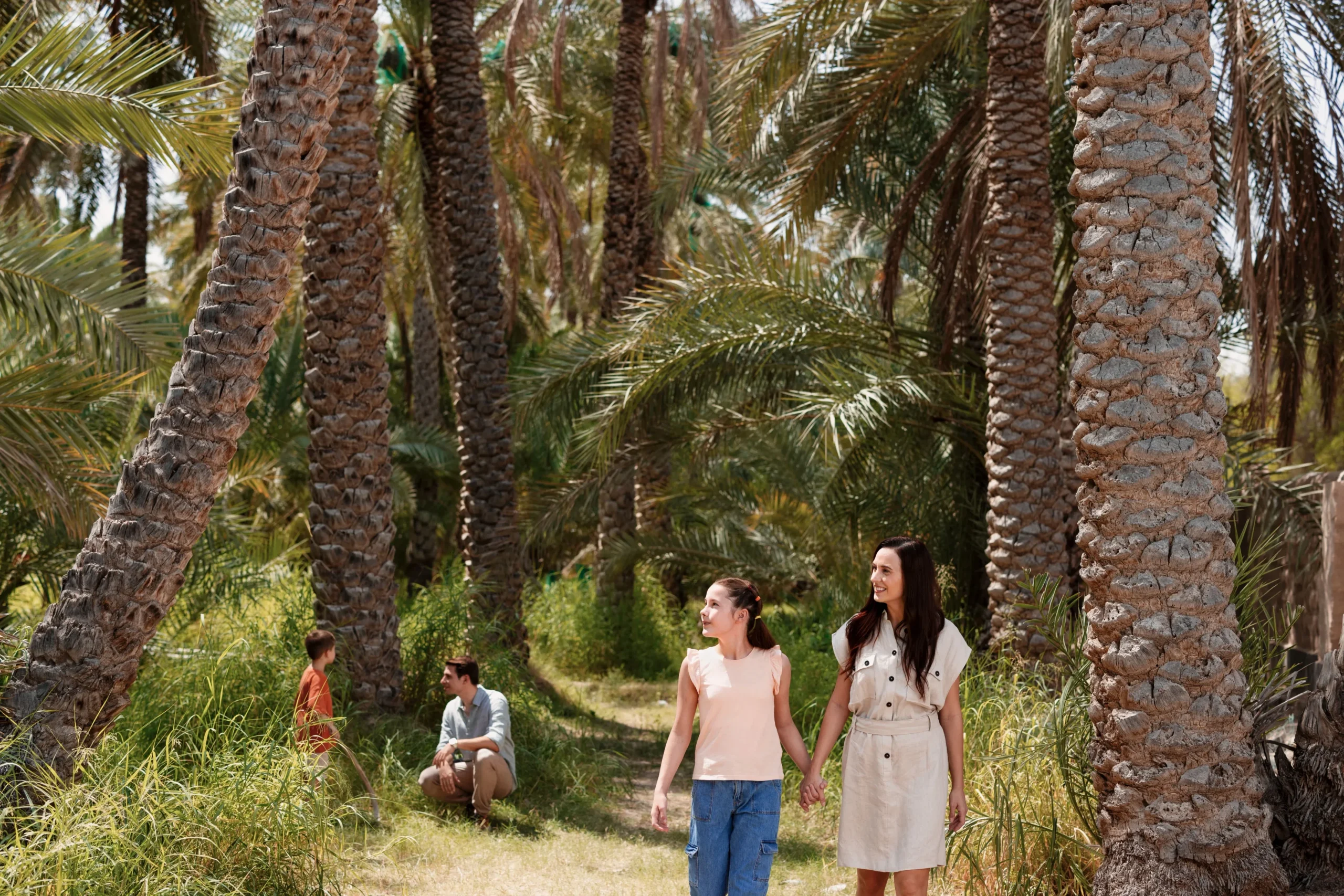 10 Things to Do in Al Ain: Discover the Garden City of the UAE